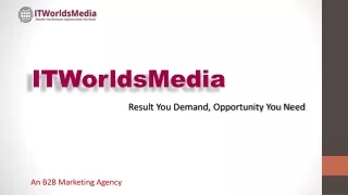 B2B Marketing Agency in USA | ITWorldsMedia