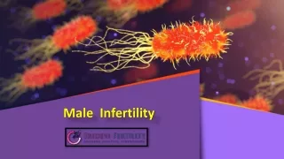 Male Infertility Centre in Hyderabad, Male Infertility Treatment In Hyderabad - Sridevi Fertility