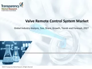 valve remote control system market