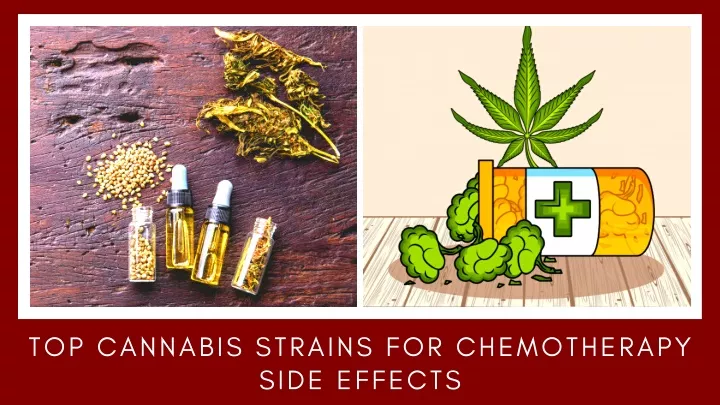 top cannabis strains for chemotherapy side effects