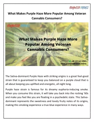 What Makes Purple Haze More Popular Among Veteran Cannabis Consumers?