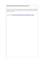 Get Business Intelligence Software Development Services - slide 1