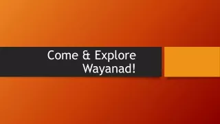 Explore Fabulous Greenery In Wayanad!