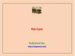 Pet Care - slide 1