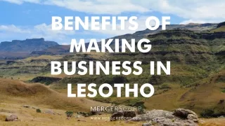 benefits of making business in lesotho