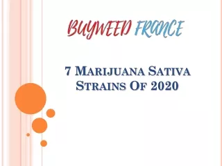 7 Marijuana Sativa Strains Of 2020