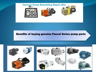 Benefits of buying genuine Pascal Series pump parts