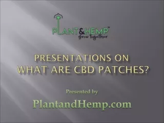 What Are CBD Patches
