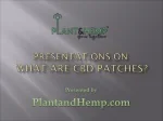 What Are CBD Patches - slide 1