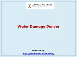 Water Damage Denver
