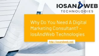 Why Do You Need A Digital Marketing Consultant? – IosAndWeb Technologies