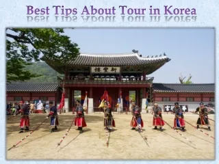 Best Tips About Tour in Korea