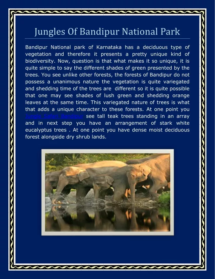 jungles of bandipur national park