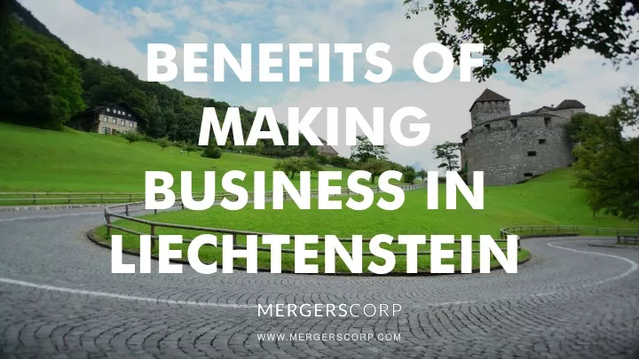 benefits of making business in liechtenstein