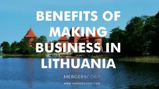 benefits of making business in lithuania