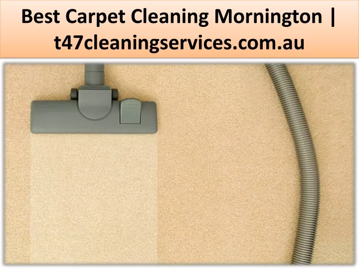 best carpet cleaning mornington t47cleaningservices com au