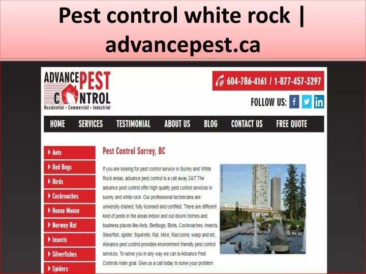 pest control white rock advancepest ca