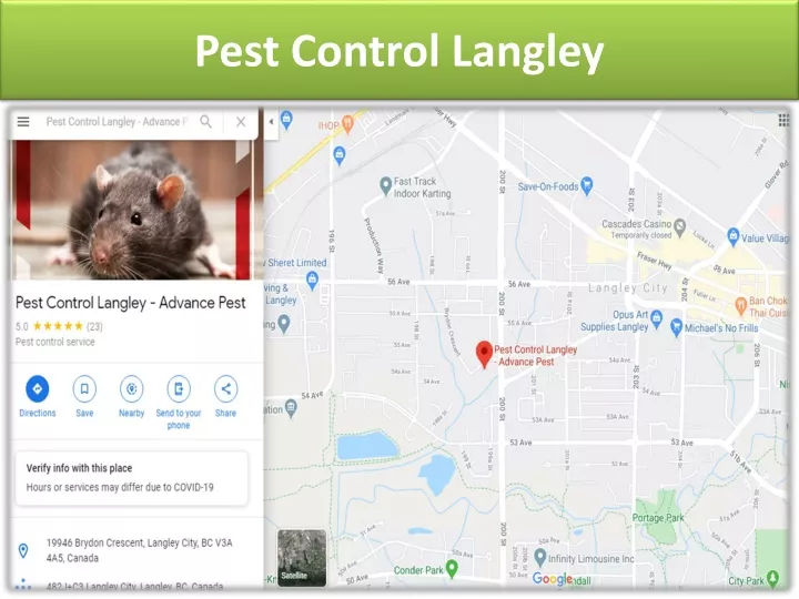 pest control langley