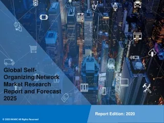 global self organizing network market research