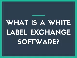 What is a white label exchange software?