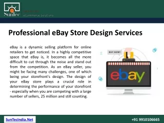 Professional eBay Store Design Services | SunTec India