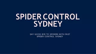 SPIDER CONTROL SYDNEY