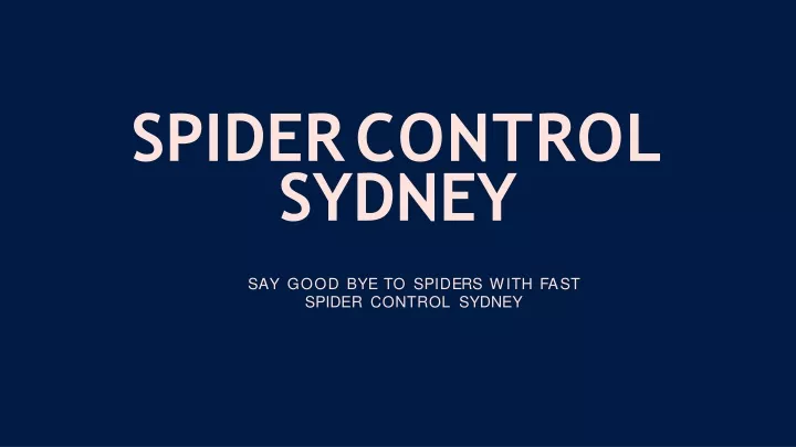 spider control sydney