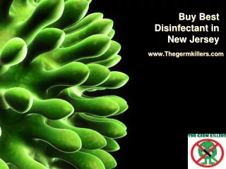 Buy Best disinfectant in New Jersey - Thegermkillers.com