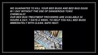The advanced techniques of bed bug treatment near me