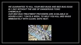 Solve bed bugs problems instantly