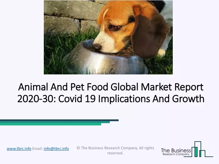 animal and pet animal and pet food 2020 2020