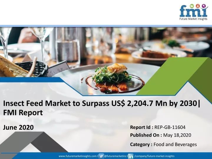 insect feed market to surpass