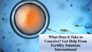 What Does it Take to Conceive? Get Help From Fertility Solutions International