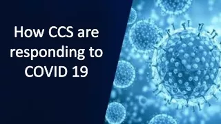 how ccs are responding to covid 19