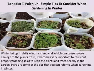 benedict t palen jr simple tips to consider when gardening in winter