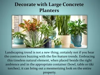 Decorate with Large Concrete Planters