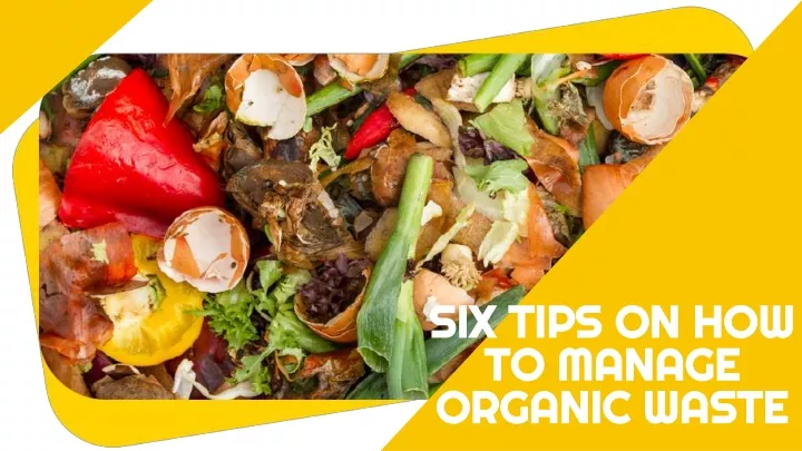 six tips on how to manage organic waste