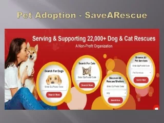 Adopt a Pet - SaveARescue