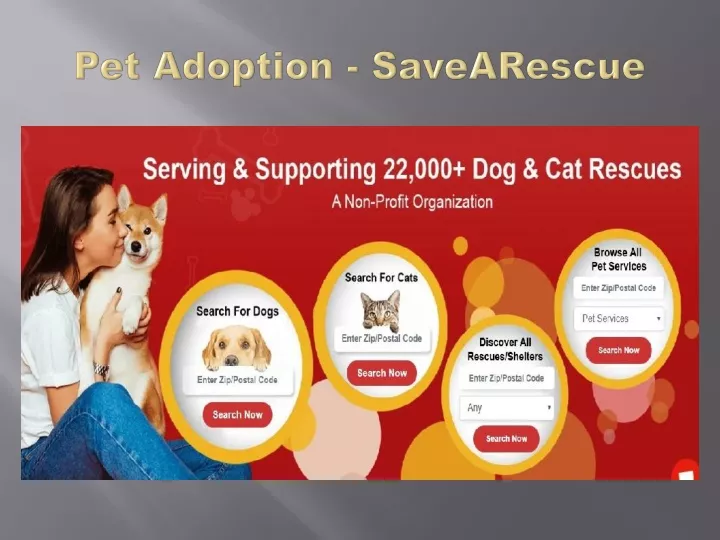 pet adoption savearescue