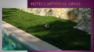 hotels artificial grass