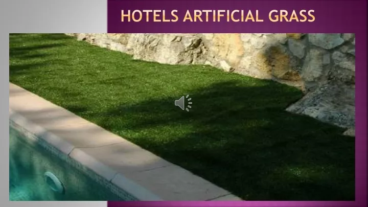 hotels artificial grass
