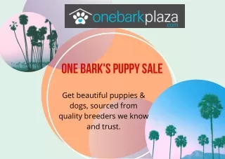 One Bark's Puppy Sale