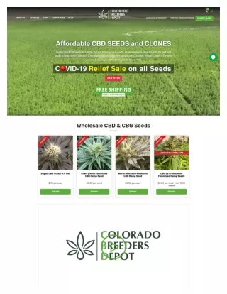 Colorado Breeders Depot: Wholesale CBD Seeds | Hemp ...