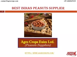 best indian peanuts supplier