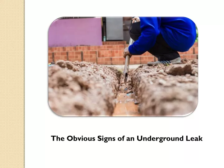 the obvious signs of an underground leak