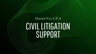 Civil Litigation Support - HarriettFox C.P.A