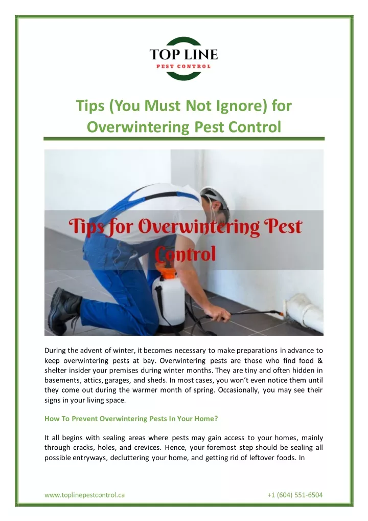 tips you must not ignore for overwintering pest