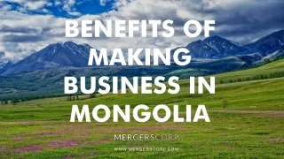 benefits of making business in mongolia
