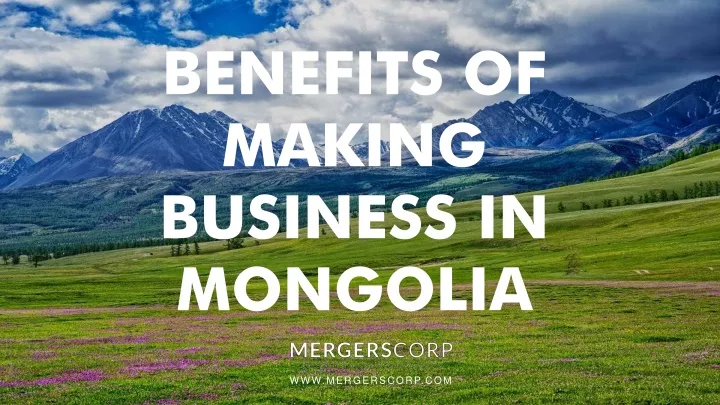 benefits of making business in mongolia