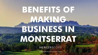 benefits of making business in montserrat